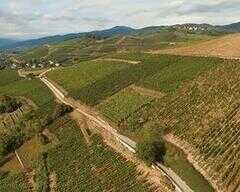 法国葡萄酒大师海报