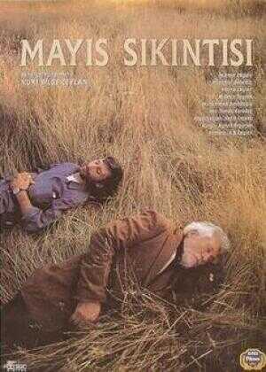 五月碧云天海报