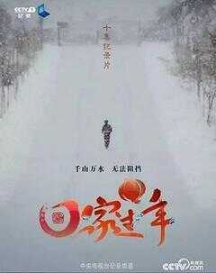 回家过年 第一季海报