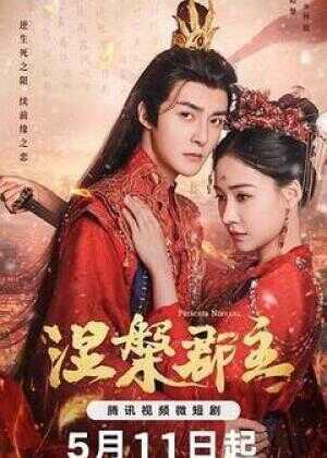 涅槃郡主海报