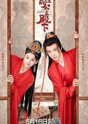 奇怪的公主殿下海报