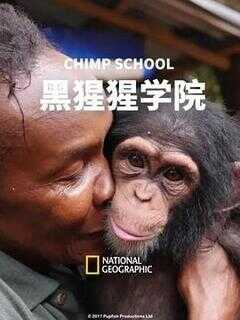 黑猩猩学院海报