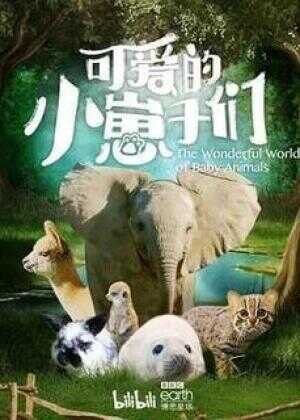 可爱的小崽子们海报