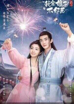 我家娘子惹不起海报