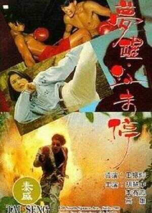 梦醒血未停海报