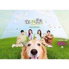 宠他,还是爱我?海报