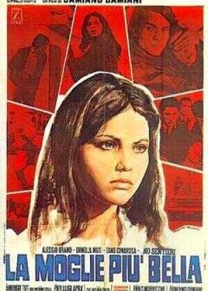 最美丽的妻子海报