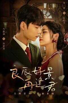 良辰好景再逢君海报