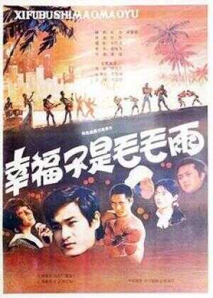 幸福不是毛毛雨海报