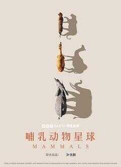 哺乳动物星球海报