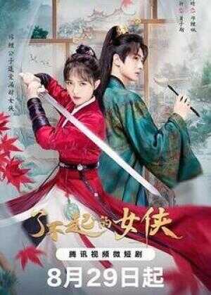 了不起的女侠海报