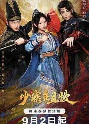 少寨主且慢海报