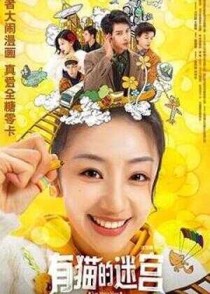 有猫的迷宫海报