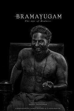 轮回：疯狂时代海报