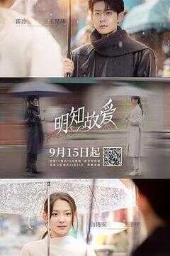 明知故爱海报