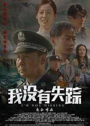 我没有失踪海报