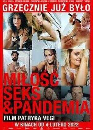 爱，性与传染病海报