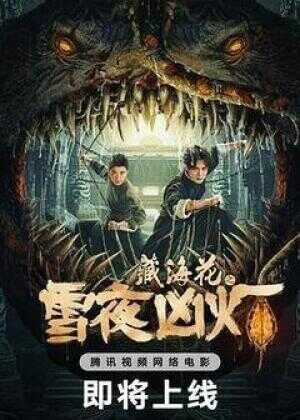 藏海花之雪夜凶灯海报