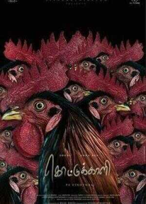 固执的女孩海报