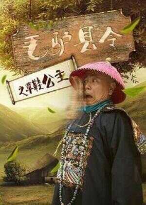 毛驴县令之草鞋公主海报