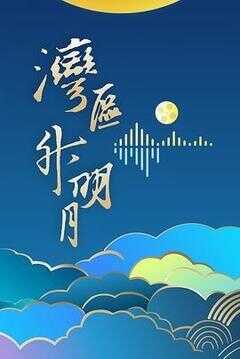 "湾区升明月"2024大湾区电影音乐晚会海报