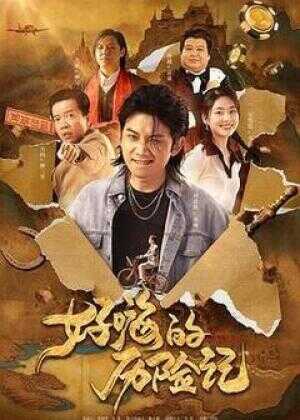 郝嗨的历险记海报