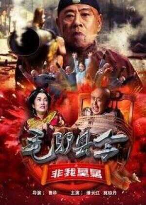 毛驴县令之非我莫属海报