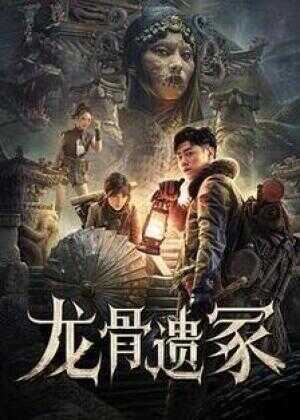 龙骨遗冢海报