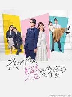 我们陷入恋爱的理由海报