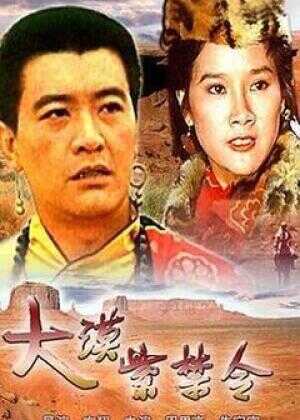 大漠紫禁令海报