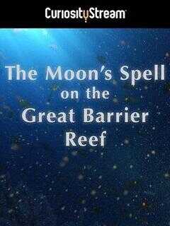 大堡礁上的月亮魔咒海报