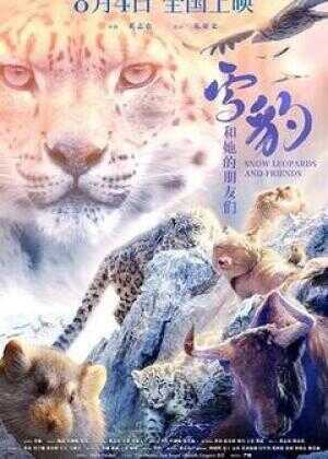 雪豹和她的朋友们海报