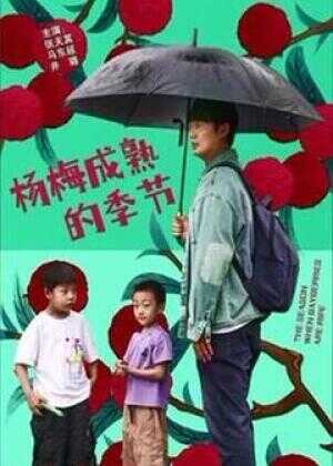 杨梅成熟的季节海报
