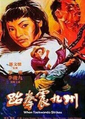 跆拳震九州海报