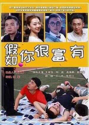 假如你很富有海报