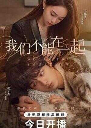 我们不能在一起海报