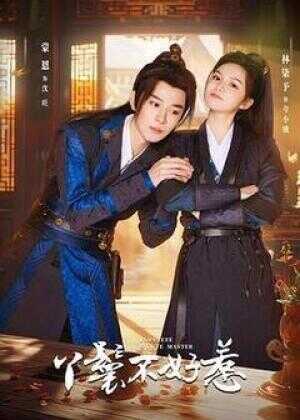 丫鬟不好惹海报