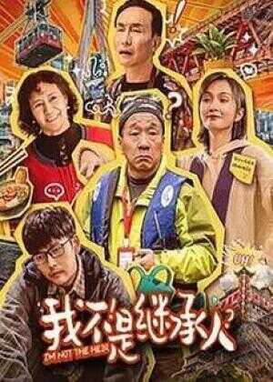 我不是继承人海报