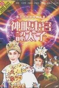 神眼东宫认太子海报