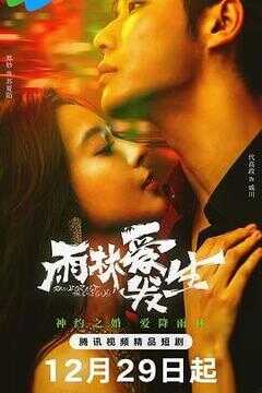 雨林爱发生海报