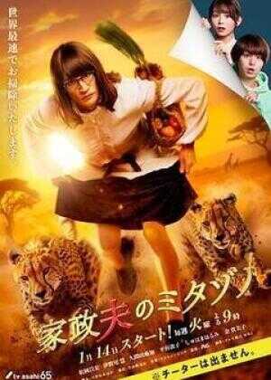 家政夫三田园7海报