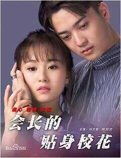 会长的贴身校花海报