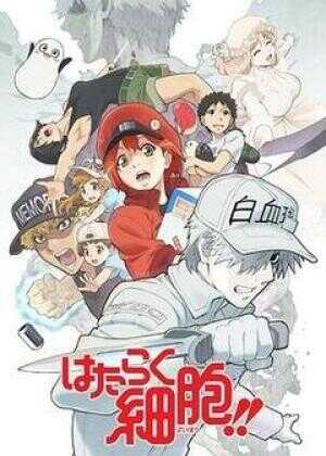 工作细胞 第二季海报