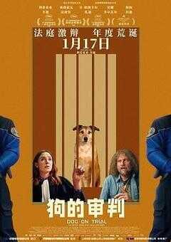 狗的审判海报
