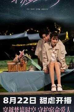 再次重逢的世界海报