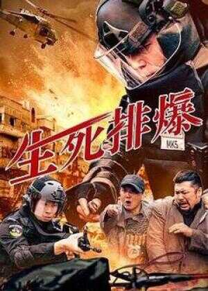 生死排爆海报