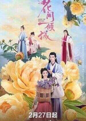 花间一倾城海报