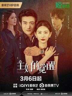 主妇的觉醒海报