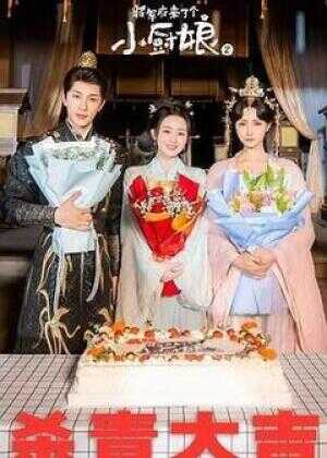 将军府来了个小厨娘之落难千金海报