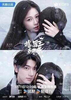 嘘，国王在冬眠海报